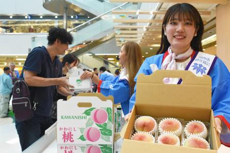 川西特産の早生桃が食べ頃 即売会は1時間で完売 / 兵