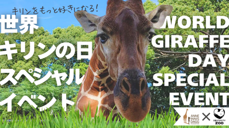 【福岡県大牟田市】大牟田市動物園世界キリンの日スペ
