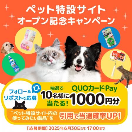 フォロー＆リポストで1 0 名にQUO カードPay が当たる