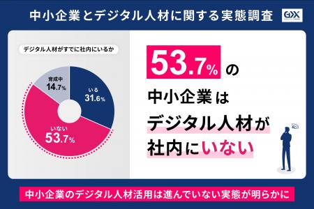 〈中小企業とデジタル人材に関する実態調査〉デジタル