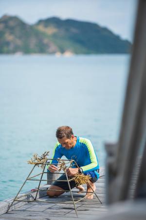 アヤナ コモド ワエチチュビーチ、海洋保護への取り組
