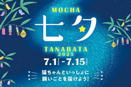 猫カフェMOCHA全店で初の七夕イベント開催決定！かわ
