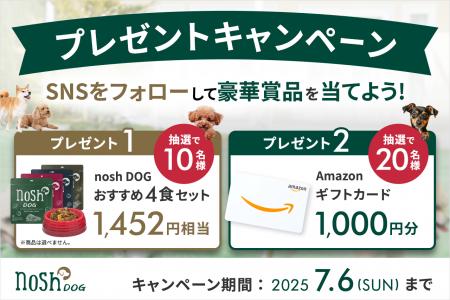 「nosh DOGおすすめ4食セット」または「Amazonギフト