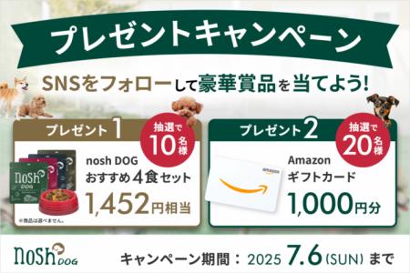 「nosh DOGおすすめ4食セット」または「Amazonギutf-8