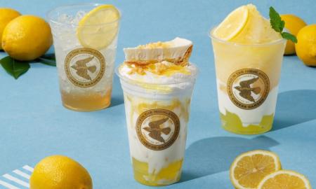 【チーズガーデン】夏にぴったりのオアシスのような季