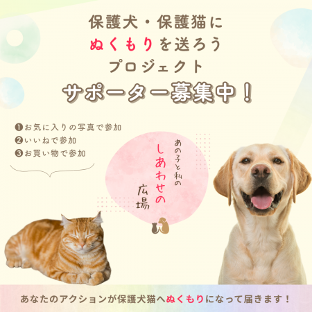 「写真の力」で動物福祉を支援！アニマル・ドネーショ
