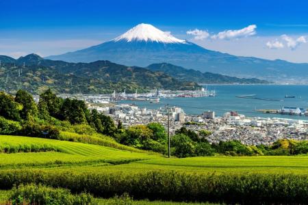 静岡県台湾事務所が「FOOD TAIPEI 2025」に出展