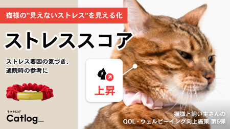 猫様の“見えないストレス”を見える化するストレススコ