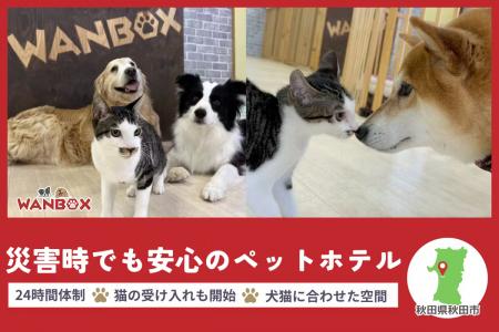 秋田県・WANBOX、災害時のペット避難問題に挑むutf-8