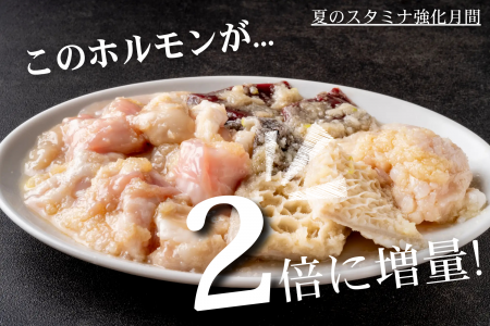 【夏のスタミナ強化月間】人気の松阪牛ホルモンミック