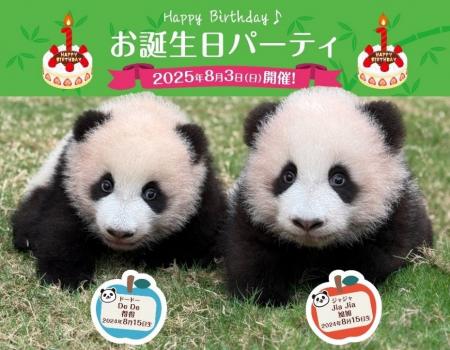 夏休み旅行は香港へ✈かわいい双子の赤ちゃんパンダに