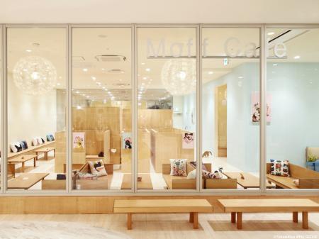 今夏”にゃん”とリニューアルOPEN！『Cat Cafe MOFF 高
