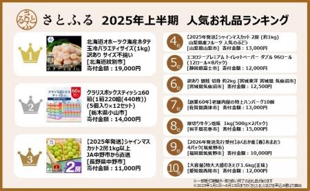 さとふる、2025年上半期ふるさと納税人気お礼品ランキ