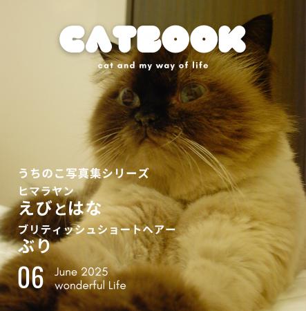 うちの猫の写真集が出版できる！「うちのこ写真集」シ