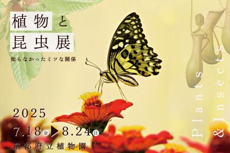 夏休みの自由研究はこれで決まり！植物と昆虫のutf-8