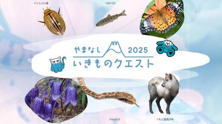 「やまなしいきものクエスト２０２５」を実施します！