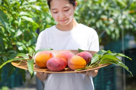 宮崎発、完熟果実の夏ギフト いちごポタジェの有機ラ
