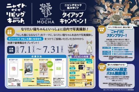 “ニャンデミック”、全国拡大中！？猫に触れたら猫にな