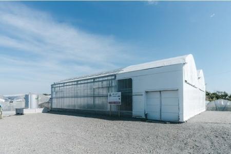 AGRIST、企業の農業参入の相談受付を開始。耕作放棄地