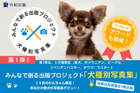 チワワ部門の募集開始！参加費完全無料：2025年度版 