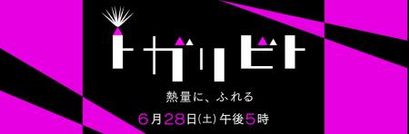 対面だからこそ聞き出せるエピソード。世界に勝負をか