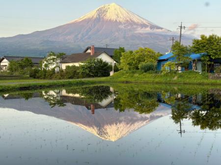 富士山のふもとで“土と水にふれる”暮らし参加型ツアー