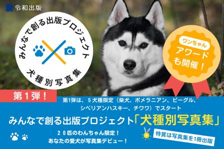 ハスキー部門の募集開始！2025年度版 みんなでつくる