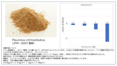 老化細胞を除去するセノリティクス新素材「SENOXutf-8