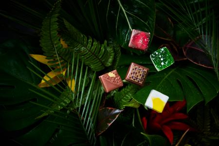 バリ島の恵みを凝縮したチョコレートの魅力