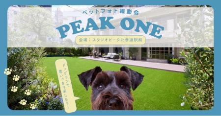 プロ広告カメラマンによる《ペット撮影体験イベント「