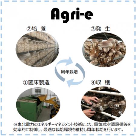 秋田県内における「菌床しいたけ生産事業」への参画に
