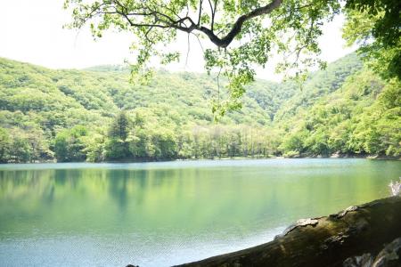 国立公園の大自然を感じ、五感で学ぶ体験ツアー開始＠