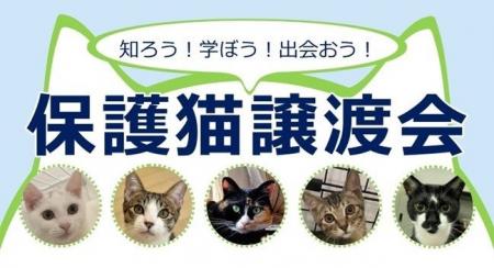 7月12日（土）、新宿NPO協働推進センターにて、新宿区