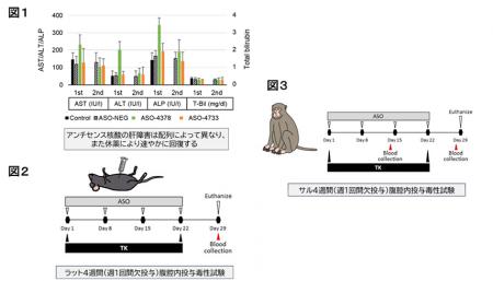 腹膜播種を有する進行胃癌に対する新たな挑戦