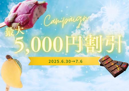 【最大5,000円引きキャンペーン】この夏の売れ筋3選！