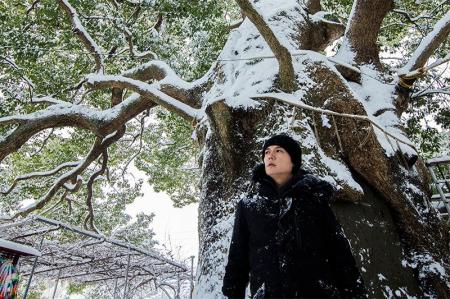 福山雅治、“被爆クスノキ”を題材にした楽曲「クスノキ