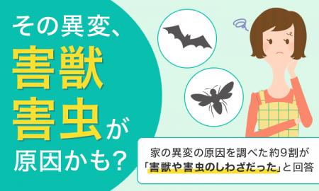 【その異変、害獣・害虫が原因かも？】家の異変の原因