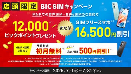 【BIC SIM】ビックカメラグループ店舗での申込みでSIM