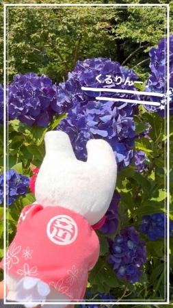 立川市公式キャラクター「くるりん」のショート動画シ
