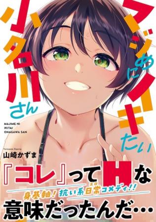 どいつもコイツもヤりたいほーだいッ!?抗い系日常(エ
