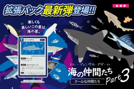 子どもが夢中！海の生き物のカードゲーム第3弾リutf-8