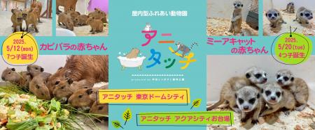 屋内型ふれあい動物園「アニタッチ」で動物の赤ちゃん