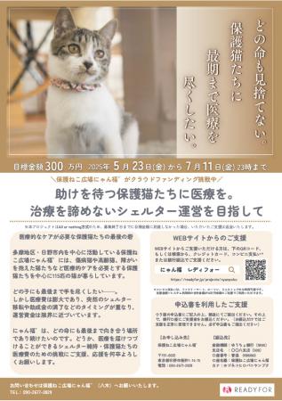 保護猫たちの治療を諦めないシェルター運営を目utf-8