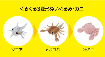 ぬいぐるみデザイナー・せこなおさん発案！カニの成長
