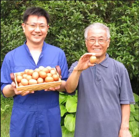 震災乗り越え健康な親鶏を飼育　宮城のたまご生産を利