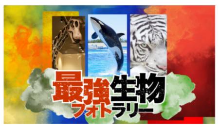 兵庫県のレジャー施設とSAが連携して「最強生物フォト
