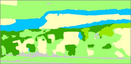 全国河川の汎用植生分類サービスを開始
