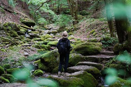 【Otonami / Wabunka初のトレッキングプラン新登場】