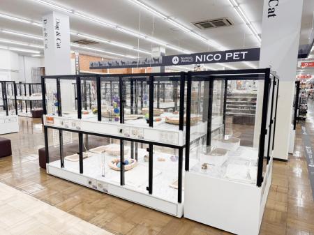 P’s-first東大阪店オープンのお知らせ
