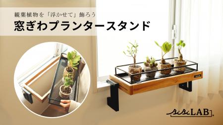 観葉植物を【浮かせて】飾れる「窓ぎわプランタースタ